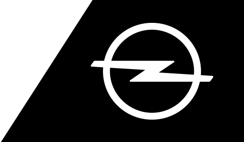 Logo von Auto-Nau KG Kfz.-Handel und Reparaturwerkstatt
